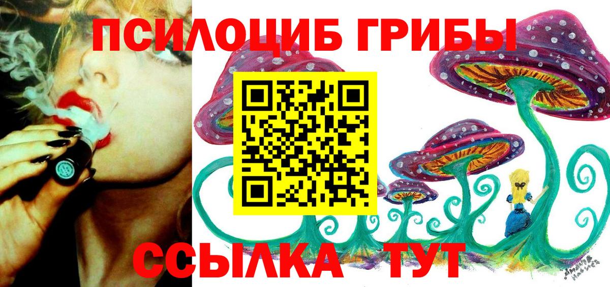 Псилоцибиновые грибы Psilocybine cubensis  Псилоцибиновые грибы мухоморы  Лабинск  Вход с VPN 